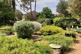 Native Nurseries Across Australia