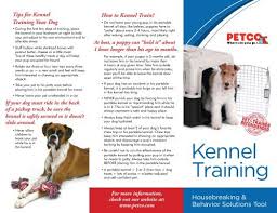 kennel training petco