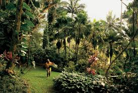 Hoomaluhia botanical garden is within a volcanic crater. Oahu Parks And Gardens Go Hawaii
