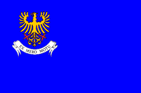 Армейские знаки в петлицах, на пуговицах, фуражках и флагах различных стран мира. ВВС. Часть 8 Армейские знаки в петлицах, на пуговицах, фуражках и флагах различных стран мира. ВВС. Часть 8 Авиация,Символизм,Армия,Униформа