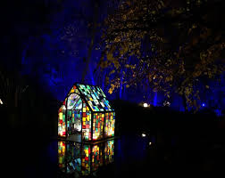 Enchanted Forest Of Light At Descanso