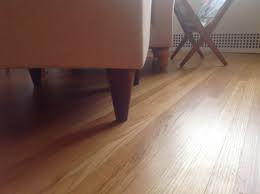 repairing pet damage to hardwood floors