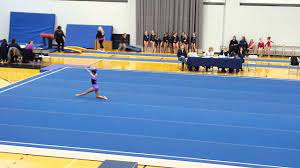 tori usag level 4 floor routine 2016