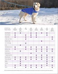 Rc Pet Products Venture Shell Reflective Water Resistant Dog Coat