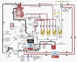 Blood Pumps Circuitry And Cannulation Techniques In