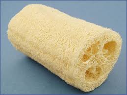 Image result for loofah and cucumber
