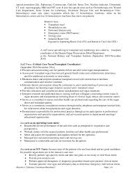    examples of cv for nurses   emt resume Accountant CV Example