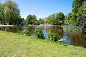 Popular attractions vondelpark and van gogh museum are located nearby. A Visitor S Guide To Vondelpark In Amsterdam