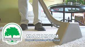 carpet cleaning shelby township