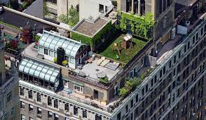 Secret Rooftop Gardens Of Manhattan