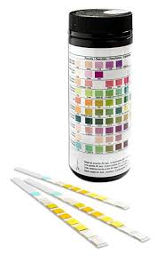 One Step 10 Parameter Professional Gp Urinalysis Multisticks Urine Strip Test Stick Strips Pack Of 100 Strips