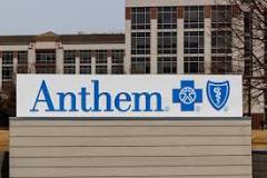 Image result for who owns blue cross blue shield