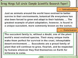 Animal Reports   A Lapbook for Animal Research   Informational     Animal Research template  freebie 