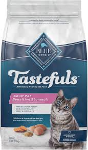 12 best vet approved cat foods of 2023