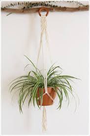 How to hang your plant hangers without using a ring! Large Macrame Plant Hanger With Wooden Ring Plant Hanger Macrame Plant Hanger Large Macrame