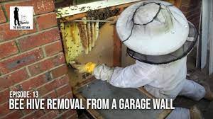 bee hive removal from a garage wall