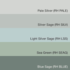 Sage Paint Color Silver Sage Paint