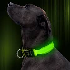 Amazon Com Illumifun Led Dog Collar Nylon Adjustable Light Up Collar Usb Rechargeable Glowing Dog Collar Make Your Dogs Be Visible Safe At Night Green Large Kitchen Dining