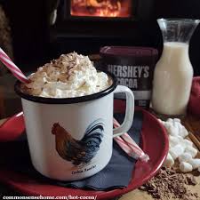 hot cocoa from scratch recipe double