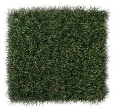 foreverlawn select synthetic gr for