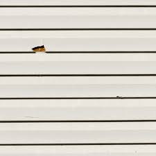 How to Patch Siding - Do It Yourself | PJ Fitzpatrick