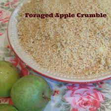 Foraged Apple Crumble Recipe Mummy