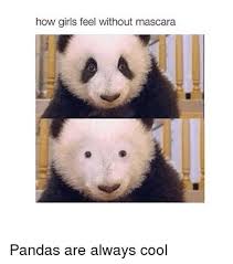 panda mascara memes