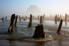 When will super low tides happen on the Oregon coast in 2021? -  oregonlive.com