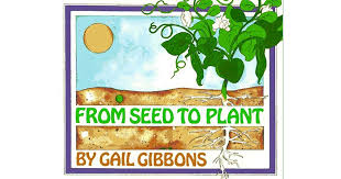 From Seed To Plant By Gail Gibbons