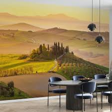 Tuscany Vineyard Italy Landscape