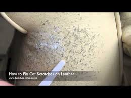 Use a mild glue to stick the nail covers. How To Repair Cat Scratches On Leather Youtube