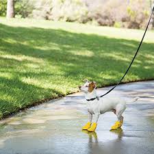 Good2go Rain Or Shine Yellow Silicone Dog Boots Medium