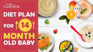 t plan for 14 month old baby you