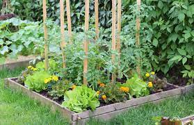 plant flowers with your vegetables