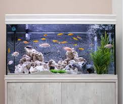 We also deliver animals world wide to all our customers. Fish Walmart Com