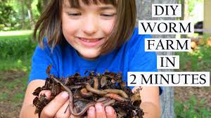 making a worm farm in 2 minutes raise