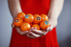 cuties halos and delite mandarins