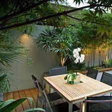 creating a tropical garden garden