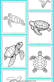 sea turtle coloring pages free
