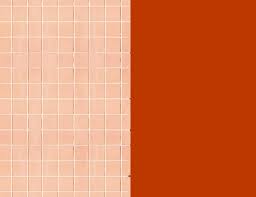 Peach Tile Goes With What Colors