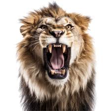 strong lion roar generative ai 24724494 png