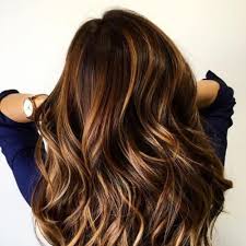 brown hair with blonde highlights looks