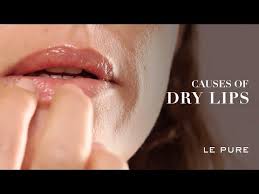 causes of dry and chapped lips le pure
