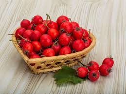 A hawthorn is a thorny shrub or tree which can be planted into a hedge, and this fact provides a hint about the origins of the plant's. Hawthorn The Herb That Can Improve Heart Health