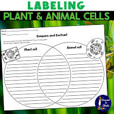 labeling plant and cells made