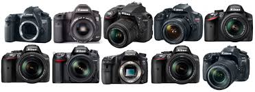 the top 10 best dslr cameras for