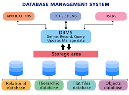 dbms full form database management