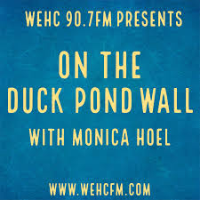The Duck Pond Wall