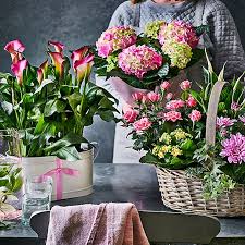 Marks and spencer store, phoenix market city (open). Flower Arrangements How To Arrange Flowers M S