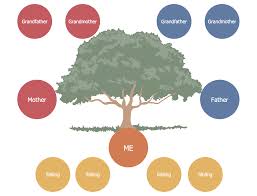 family tree solution conceptdraw com